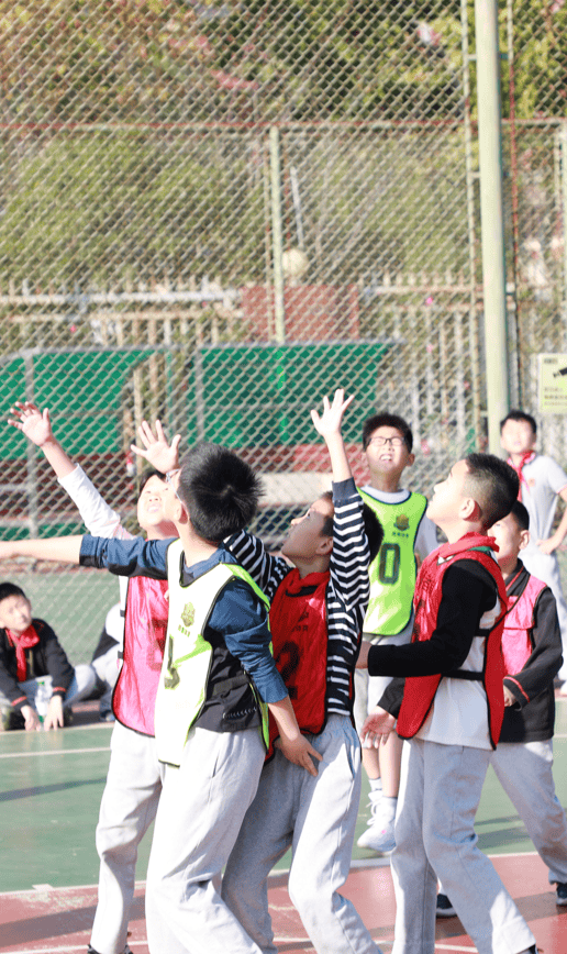 九游电脑版辅助-澳大利亚队观众热烈欢呼！，蒂姆迎来二十赛季出色发挥赛场气氛高涨-九游电脑版辅助